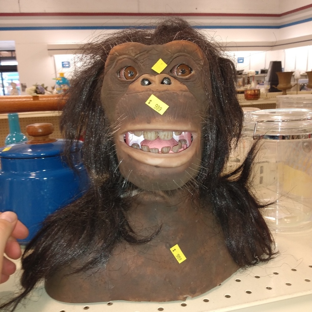 Meet your Posher, Zachariah